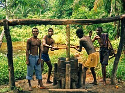 A village palm oil press "malaxeur" in Bandundu, Democratic Republic of the Congo