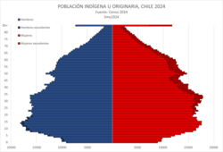 Indigenous pyramid population of Chile, census 2024.