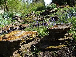 Rock garden, Castle Archdale. These jagged rocks are typical of some parts of the lough shore. People used to transport them away for a feature for their gardens.
