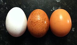 White, speckled (red), and brown chicken eggs