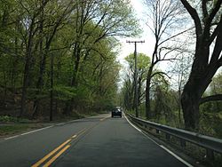 View south along Route 29 in Hopewell Township