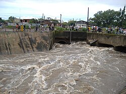 The last section of the stream, before entering the underground pipes, in March 2007