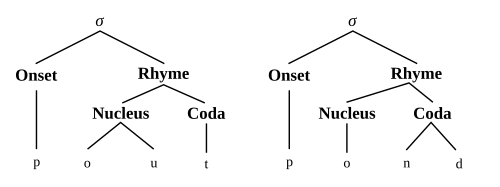 Branching nucleus for pout and branching coda for pond