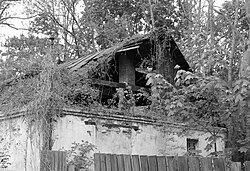 Ruins of abandoned house in Chernobyl, 2019