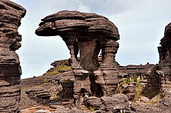 A rock formation resembling an animal