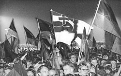 Homemade Reichskriegsflagge at German reunification in Berlin in 1990