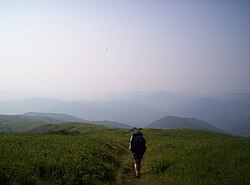 Grassy balds on the Roan Highlands straddling the North Carolina/Tennessee border
