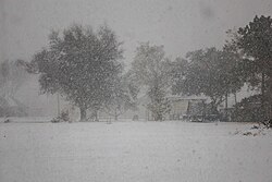 Blizzard conditions in Carlyss, Louisiana, on January 21