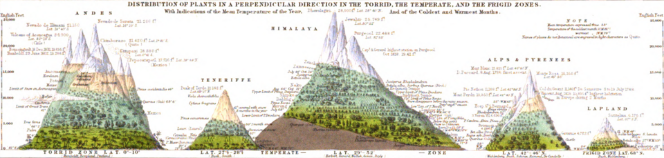 This map of the "Distribution of Plants in a Perpendicular Direction in the Torrid, the Temperate, and the Frigid Zones" was first published 1848 in "The Physical Atlas". It shows tree lines of the Andes, Tenerife, Himalaya, Alps, Pyrenees, and Lapland.