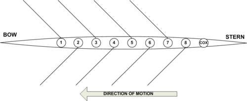 The boat positions within an 8+ rowing shell