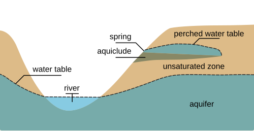 Cross section showing the water table varying with surface topography as well as a perched water table