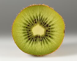 Green kiwifruit cross section