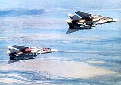 Iranian F-14A Tomcats equipped with AIM-54A, AIM-7 and AIM-9 missiles