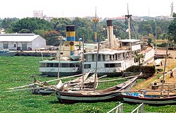 Water hyacinth at Kisumu Port