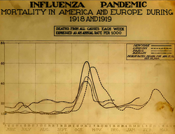 Deaths from all causes for New York, London, Paris, and Berlin with peaks in October and November 1918