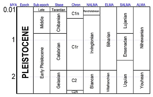 Various schemes for subdividing the Pleistocene