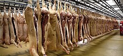 An industrial meat packing plant in Hungary, 2013
