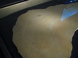 Mesolimulus walchi fossil and track, a rare example of tracks and the creature that made them fossilized together