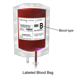 Illustration of labeled blood bag