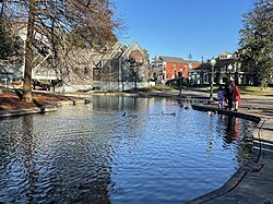 A pond at the park, facing Rampart Street