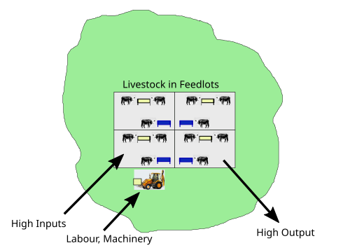 In concentrated animal feeding operations, the cattle are not allowed to wander and graze, as food is brought to them in a feedlot.[91]