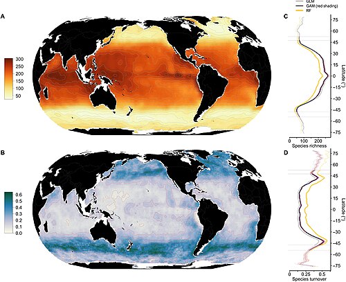 Global patterns of monthly phytoplankton species richness and species turnover (A) Annual mean of monthly species richness and (B) month-to-month species turnover projected by SDMs. Latitudinal gradients of (C) richness and (D) turnover. Colored lines (regressions with local polynomial fitting) indicate the means per degree latitude from three different SDM algorithms used (red shading denotes ±1 SD from 1000 Monte Carlo runs that used varying predictors for GAM). Poleward of the thin horizontal lines shown in (C) and (D), the model results cover only <12 or <9 months, respectively.[63]