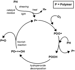 The cyclic mechanism of autoxidation, which antioxidants aim to break