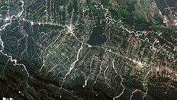 Ivirgarzama, an important agricultural region for the cultivation of bananas, citrus fruits, pineapples and rice