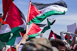 Protest for Palestine in Tunisia