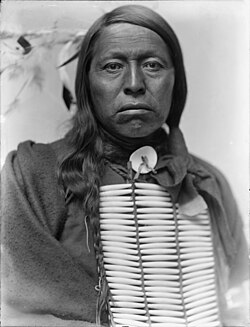 Chief Flying Hawk, Gertrude Kasebier, 1898, U.S. Library of Congress