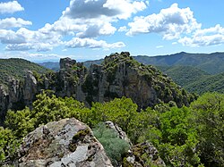 Sulcis Regional Park, the largest Mediterranean evergreen forest in the Mediterranean Basin.[144]