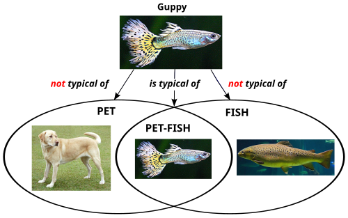 A guppy is not a prototype pet, nor a prototype fish, but it is a prototype pet-fish. This challenges the idea that prototypes are created from their constituent parts.