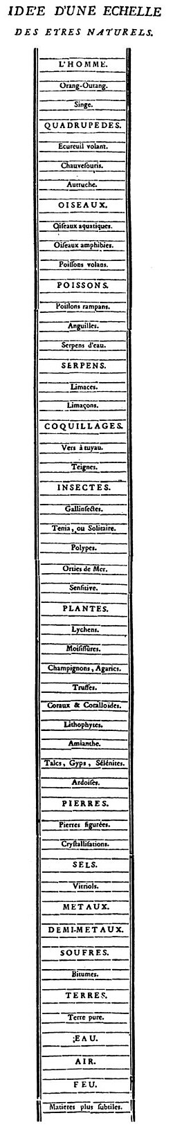 Charles Bonnet's chain of being from Traité d'insectologie, 1745