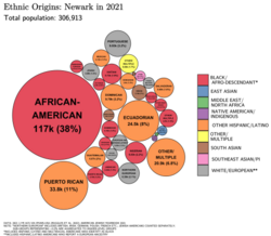 Ethnic origins in Newark