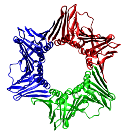 The quaternary structure of this protein complex would be described as a homo-trimer because it is composed of three identical smaller protein subunits (also designated as monomers or protomers).