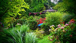 The Japanese garden within the local botanical garden