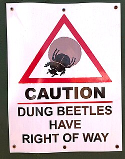 Caution sign showing the importance of dung beetles in South Africa