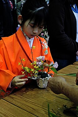 Child learning the art of Ikebana