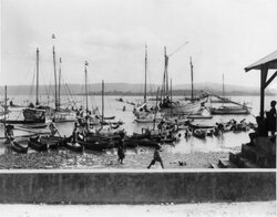 Boats docking around harbour in Baubau, 1920