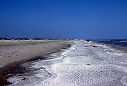 Gulf beach near Sabine Pass