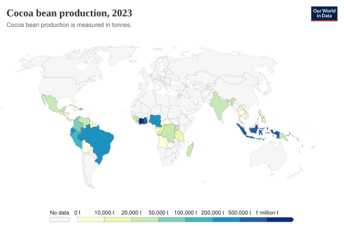 Cocoa bean production