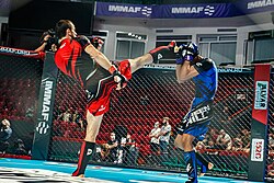 Mixed martial arts championship in Russia in 2021