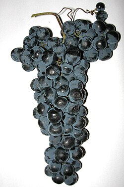 In Spain, Cabernet Sauvignon is often blended with Tempranillo.(pictured)