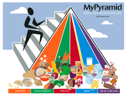 The five divisions of the pyramid