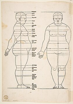 Illustration from the Four Books on Human Proportion, 1528 (MET, New York)