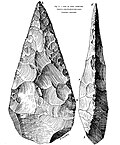 Lanceolate