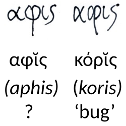 Probable etymology of 'aphis' by misreading Greek κόρῐς as αφῐς[2]