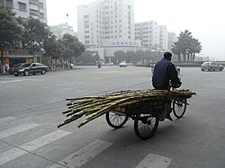 Many rural migrants find work as laborers in cities.
