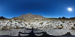 A 360 degree photograph of fynbos in the Groot Winterhoek section of the Cape Fold Mountains about 18 months after a fire. New plants can be seen in various stages of growth. The infertile white soil that fynbos tends to grow in can also be clearly seen