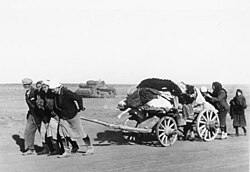 Russian refugees from the Battle of Stalingrad 1942